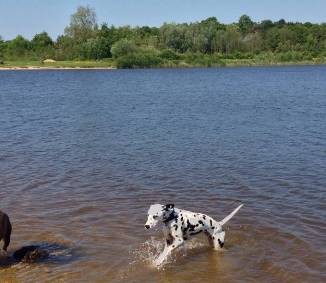 Life jacket Life jacket